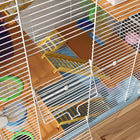 PawHut - Cage à Hamster 5 Niveaux - Bleu Clair-La porte avant permet d’accéder facilement à votre hamster