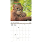 DateWorks - 2026 Calendrier Mural 16 Mois - 12 po x 12 po - Bébés Animaux - Bilingue -Septembre 2025 - Décembre 2026