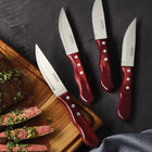 Tramontina - Ensemble de couteaux à steak Porterhouse - Pointu - 4 pièces-3 rivets solides