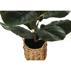 Monarch Specialties - Plante Artificielle - 28 po H - Arbre À Violons - Touche Réelle - Feuilles Vertes - Panier Tressé Beige-Aucun assemblage requis: dimensions du produit : 20" L x 19" L x 28" H