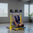 Soozier - Machine Réglable D’Extension Et De Flexion Des Jambes - Capacité 660 Lbs-Dossier et appui-tête réglables pour soutenir la colonne vertébrale et permettre les abdos et autres exercices  