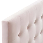 Modway - Emily Biscuit Touffé Performance Velvet Tête de lit Queen, Rose-Rembourrage en mousse dense