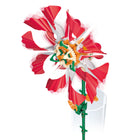 Thames & Kosmos - Fleur Solaire - Rouge-4