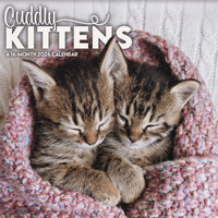 DateWorks - 2026 Calendrier Mural 16 Mois - 12 po x 12 po - Chatons Câlins - Anglais -12,00" x 12,00"