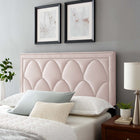 Modway - Greta Performance Velvet Tête de lit King/King de Californie, Rose-Rembourrage en mousse dense