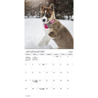 DateWorks - 2026 Calendrier Mural 16 Mois - 12 po x 12 po - Chiots - Bilingue -Septembre 2025 - Décembre 2026