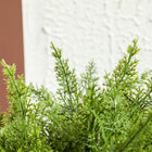 HOMCOM - Plantes artificielles décoratives 21,7 po H pour la maison - vert-Matériau : PE, ciment 