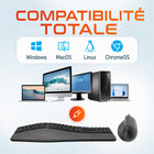 Delton - Ensemble clavier et souris filaires ergonomiques KB250&S38 - noir-Le mode d'économie d'énergie automatique de la souris permet de réduire efficacement la consommation d'énergie, prolongeant ainsi l'autonomie de la batterie et garantissant des performances fiables tout au long de la journée.