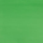 JAM PAPER - Papier cadeau mat - 43 x 46 cm - Vert citron mat - Paquet de 2-Ce papier cadeau est idéal pour ajouter une touche de couleur à tous vos présents. Parfait pour les anniversaires, les fêtes, les anniversaires de mariage, les mariages, les événements et toutes vos autres occasions spéciales.
