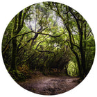 TickiT - Tapis de jeu Découverte de la forêt-Stimulation Visuelle Fascinante - Ce tapis de jeu présente une image détaillée d'un chemin forestier. Offrez aux enfants un arrière-plan coloré et stimulant pour un jeu ouvert