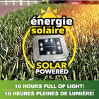 Bell + Howell - Lampadaires d’extérieur à disque solaire avec 8 ampoules à DEL - Paquet de 4-Assemblage et stabilité faciles : Conçus pour une installation rapide, les piquets à quatre coins inclus fixent fermement les lumières dans le sol, empêchant le déplacement pendant la tonte de la pelouse ou les activités extérieures. Lumières d’allée parfaites pour les allées, les patios et les allées