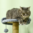 PawHut - Arbre à chat 54 po avec hamac, poteau à griffer, tour condo - gris-Le design à plusieurs niveaux répond au besoin naturel de grimper de votre animal 