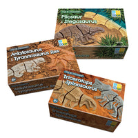 Yellow Door - YUS1230 Creusez et Découvrez - Ensemble de Dinosaures-Fabriqués à partir d'un mélange de pierre durable, les enfants adoreront déterrer ces fossiles du sable ou du sol et les assembler, développant ainsi leurs compétences d'observation, de raisonnement spatial et de pensée critique.