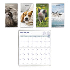 Blueline - Agenda Mensuel De Poche - 6 1/2 po H x 3 1/2 po l - Motif Animaux - Bilingue-18 mois, de juillet à décembre