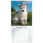 Mead - Calendrier décoratif Chiots 2027, 12 po x 12 po, bilingue-La présentation bilingue convient aux environnements anglais et français