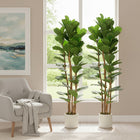 HOMCOM - Arbre artificiel de figuier à feuilles de violon 6 pi pour décoration intérieure - vert - lot de 2-Matériau : PEVA, Bois, Ciment, PP 