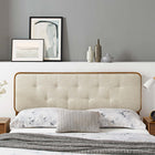 Modway - Collins Touffe Tissu et bois Tête de lit Queen, Noyer beige-Hévéa et MDF
