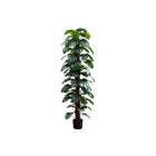Monarch Specialties - Plante Artificielle - 83 po Heur - Arbre Monstera - Feuilles Vertes - Pot Noir-Rafraîchissez votre espace avec notre arbre Monstera artificiel de 83 pouces de hauteur, offrant un look et une texture réalistes