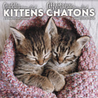 DateWorks - 2026 Calendrier Mural 16 Mois - 12 po x 12 po - Chatons Câlins - Bilingue -12,00" x 12,00"