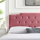 Modway - Juliet Touffe Performance Velvet Tête de lit King/King de Californie, Rose poussiéreuse-Rembourrage en mousse dense