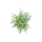Monarch Specialties - 9368 Herbe D'Eucalyptus Artificiel 16" de Haut - Pots Blancs - Ensemble de 2-Chaque plante artificielle est présentée dans un pot blanc moderne, créant un accent épuré et polyvalent pour la maison ou le bureau