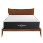 Modway - Aveline 14 po Mousse à mémoire de forme Matelas complet-Comprimé et scellé sous vide dans une boîte