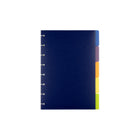 Cambridge - Intercalaires Disc, petit, 5 feuilles-Ensemble de 5 séparateurs en poly de couleurs assorties