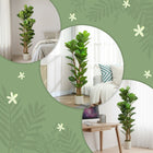 HOMCOM - Arbre artificiel de figuier lyre 5 pi pour décoration intérieure - vert - lot de 2-Une base lestée assure la stabilité, le rendant sûr pour les enfants et les animaux de compagnie 