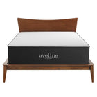 Modway - Aveline 16 po Mousse à mémoire de forme Matelas simple-Comprimé et scellé sous vide dans une boîte
