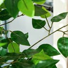 HOMCOM - Arbre s artificiels de ficus 5 pi pour décoration intérieure de la maison - vert - lot de 2-Matériau : PEVA, Métal 