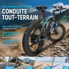 Gyrocopters - Vélo électrique Zapphire pour adolescents - Vitesse 32 km/h - Autonomie (assistance) 91 km - Noir - Lot de 2-Les pneus « Fat » de 20 x 3 pouces ainsi que les freins à disque mécaniques avant et arrière offrent une adhérence et une puissance de freinage supérieures sur tous les types de surface