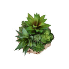 Monarch Specialties - 9369 Succulente Artificielle 9" de Haut - Panier Tissé Marron - Ensemble de 2-Fabriquées à partir de matériaux de haute qualité, ces plantes artificielles offrent l'apparence de succulentes vivantes sans nécessiter d'entretien
