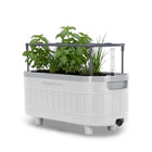 Permasteel - Jardinière à arrosage automatique avec supports de fixation - blanc-Indicateur de niveau d’eau