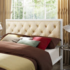 Modway - Mia Vinyle Lit Queen, Champagne blanc-Tête de lit en tissu à boutons touffonnés
