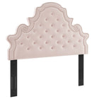 Modway - Diana Touffe Performance Velvet Tête de lit complète/Queen, Rose-Rembourrage en mousse dense