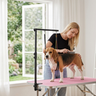 PawHut - Bras de toilettage pour chien avec pince réglable 18,9 po - 32,3 po - noir-Hauteur réglable de 18,9 à 32,3 po adaptée à différents chiens dans le jardin ou la salle de bain
