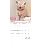 DateWorks - 2026 Calendrier Mural 16 Mois - 12 po x 12 po - Chatons Câlins - Anglais -Animaux