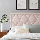 Modway - Greta Performance Velvet Tête de lit King/King de Californie, Rose-3 Positions de montée