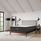 Modway - Aveline 14 po Mousse à mémoire de forme Matelas Queen-La mousse est certifiée CertiPUR-US et sans fibre de verre