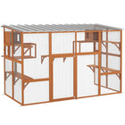 PawHut - Enclos extérieur pour chat avec toit imperméable - 118,1 po L x 55,1 po l x 75,6 po H - orange-Le design sans fond se connecte à votre maison, prolongeant l'espace de vie de votre chat 