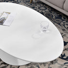 Modway - Lippa 48 po de forme ovale Bois Table basse - Blanc-Tampon feutre non marquant
