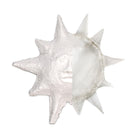 AMACO - Composé à modeler Sculptamold – 25 lb-Sculptamold ressemble au papier mâché dans la mesure où ce composé de cellulose est léger et ne rétrécit pas. Contrairement au papier mâché, il peut être modelé et coulé facilement.