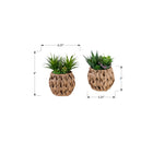 Monarch Specialties - 9369 Succulente Artificielle 9" de Haut - Panier Tissé Marron - Ensemble de 2-Accompagnées d'une garantie limitée de 5 ans, ces plantes artificielles sont conçues pour offrir qualité durable et tranquillité d'esprit