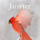 Horizon Éditions - Agenda Mensuel Quotidien Oiseaux 2027 - 5-7/8 po x 9-1/16 po-Couverture rigide, reliure spirale