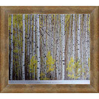 Frameworth - Christopher Burket Aspen Grove - impression d'art encadree - 34 po l x 28 po H-Reproduction de qualite superieure d'Aspen Grove par Christopher Burket sur papier de qualite