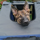 Aosom - Remorque pour chien, chariot pour animal de compagnie, wagon de vélo, porte-bagages de voyage avec attelage, pliable pour le voyage, bleu-Bandes réfléchissantes et drapeaux rouges pour plus de sécurité 