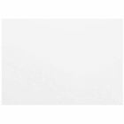 JAM Paper - Cartes de correspondance plates vierges, format A6, 4-5/8 po x 6-1/4 po, blanches, paquet de 100-Couleur : cartes blanches vierges.