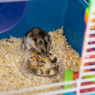 PawHut - Cage pour hamster 23 po L 5 niveaux avec système de tubes tunnels - Bleu-Matériau : Fil d'acier, PP, PS