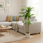 HOMCOM - Arbre dracaena artificiel 4 pi pour décoration intérieure - vert-Profitez d'une beauté toujours verte sans arrosage, taille ou entretien requis 