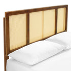 Modway - Kelsea Canne et bois Lit à plateforme complet avec pieds angulaires, Noyer-Rubberwood Legs